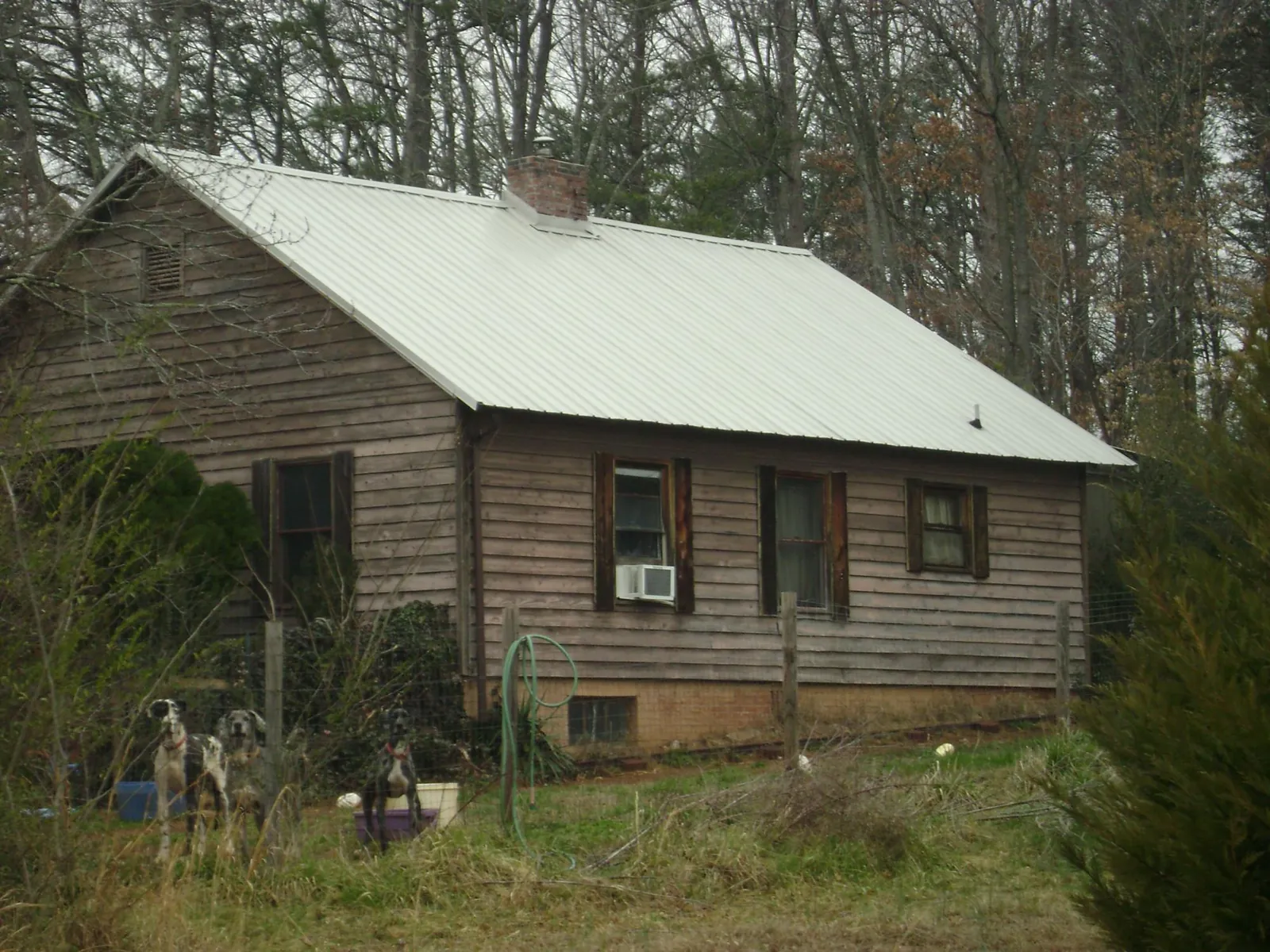 White metal roof on an old wood sided farmhouse, from a Asphalt Shingle Roof Repair job in Ipava